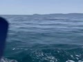 周防大島沖の帆走